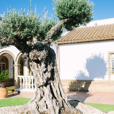 Pensjonat Casa Luxury "El Olivo De Cordoba" Con Jacuzzi Y Parking Privado Zewnętrze zdjęcie