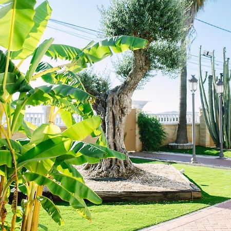 Pensjonat Casa Luxury "El Olivo De Cordoba" Con Jacuzzi Y Parking Privado Zewnętrze zdjęcie