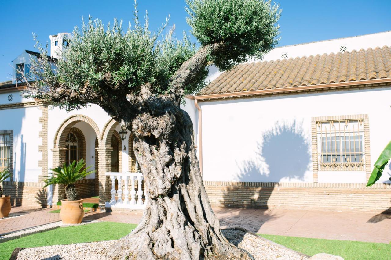 Pensjonat Casa Luxury "El Olivo De Cordoba" Con Jacuzzi Y Parking Privado Zewnętrze zdjęcie