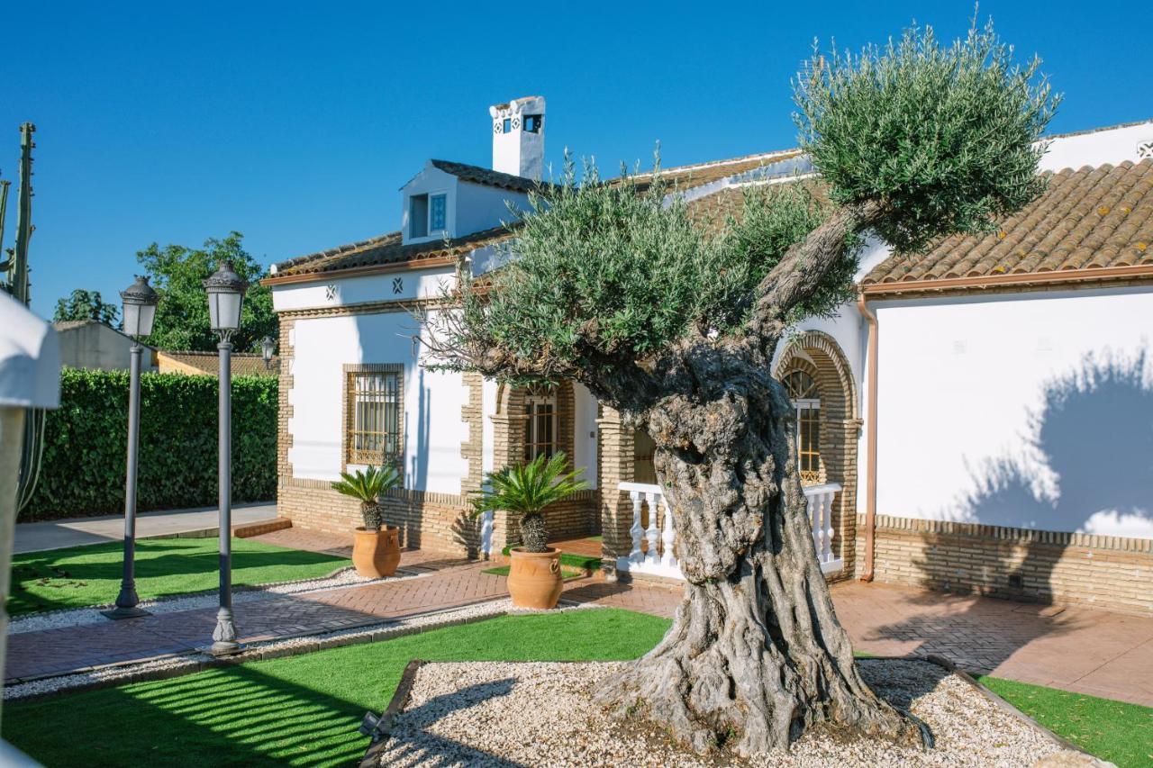 Pensjonat Casa Luxury "El Olivo De Cordoba" Con Jacuzzi Y Parking Privado Zewnętrze zdjęcie